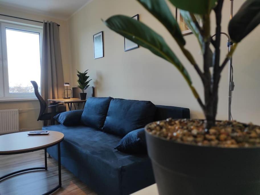 ***Santorini Apartament*** - 40M² ✓ Rybnik  Luaran gambar